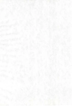 Page 46 of Reijou Shigan 2