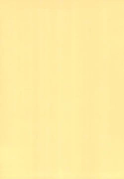 Page 2 of Kitsune Hime