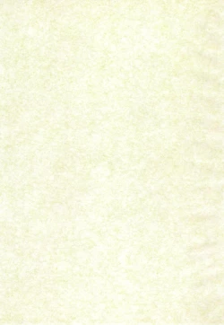 Page 3 of Ishindenshin