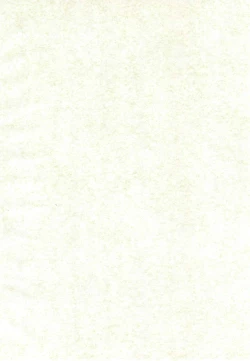 Page 4 of Ishindenshin