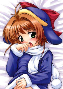 Page 12 of Youkouro no Dakimakura Iroiro-hen