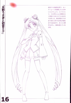 Page 18 of 20th Anniversary Essay & Artbook