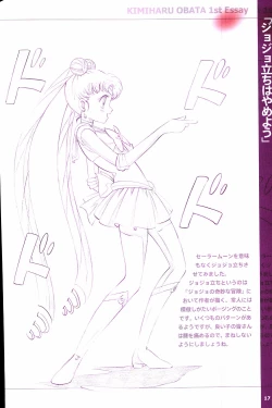 Page 19 of 20th Anniversary Essay & Artbook