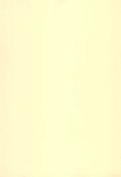 Page 27 of Digimon-bon