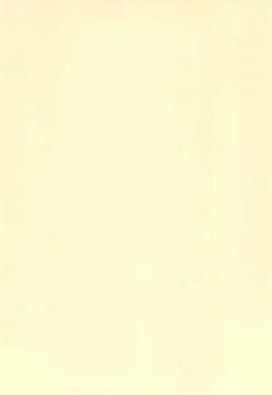 Page 28 of Digimon-bon