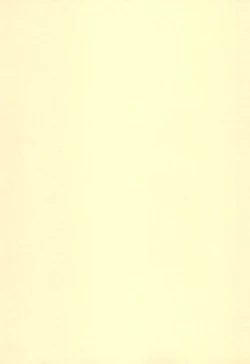 Page 3 of Digimon-bon