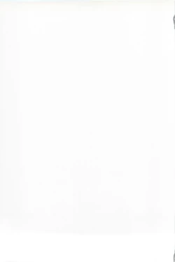 Page 19 of C88会場限定本 電マをもって凛ちゃん精す