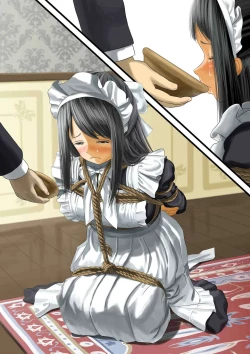 Page 17 of Maiden Voyage