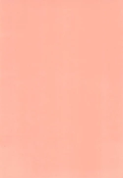 Page 4 of ShiguColle 26