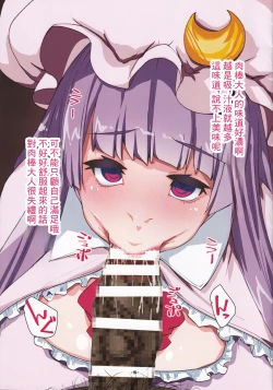 Page 5 of パチュリードール