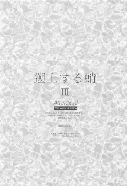 Page 4 of sojosurutako III