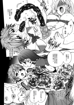 Page 9 of Himenietati no Gavage