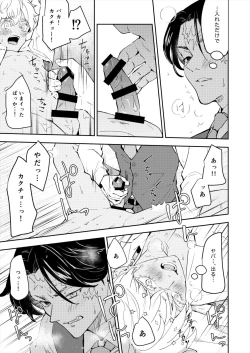 Page 13 of Kakuchan datte shitto suru