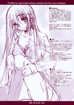 Page 2 of MIX-UP SC39