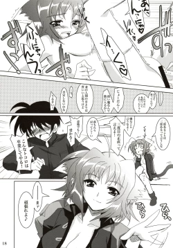 Page 17 of Mahou Shoujo Magical SEED DESTINY