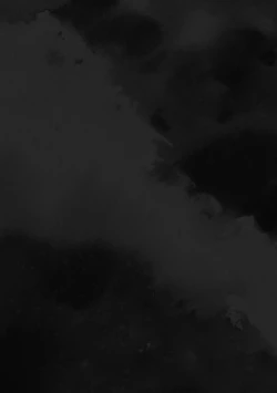 Page 55 of Insect Research Institute 2