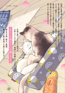 Page 184 of High Spec Danshi ni Natsukareteimasu - CHANO Mameko