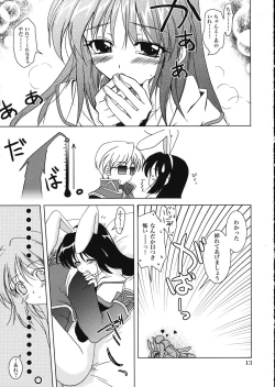 Page 12 of Magenarok.Extra,