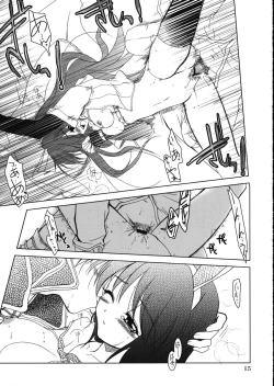 Page 14 of Magenarok.Extra,