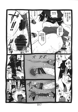 Page 17 of (Kouroumu 9) [Beniiro Kaitenkikou (Seki)]  (Touhou Project)[Chinese][小伍仁仨个人汉化]