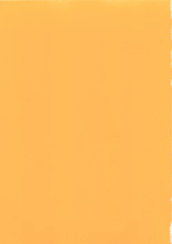 Page 4 of Konya wa Dorei DE Night