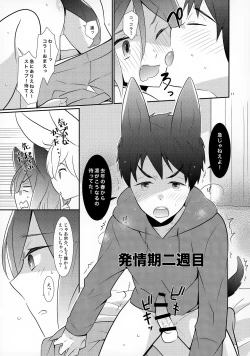 Page 11 of AFTERSCHOOL EDGE