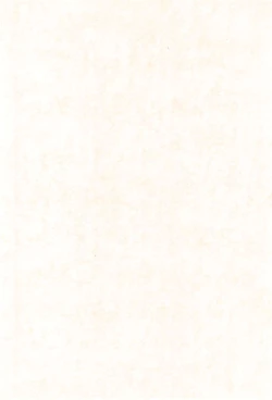 Page 6 of Yogoremono