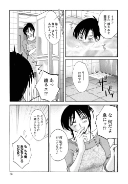 Page 31 of Agatsuma Kyoudai Junjouhen - My Sister is My Wife