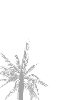 Page 147 of NTR THE MIDNIGHT POOL Soushuuhen DX