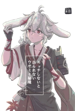 Page 1 of etchishinaitoderarenaiusamimihikyo