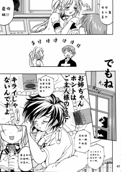 Page 41 of Kore ga Watashi no Teisoutai - This is my Chastity Belt