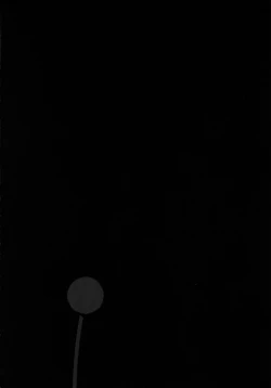 Page 28 of Yomi no Machi | 黃泉之街