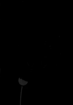 Page 72 of Yomi no Machi | 黃泉之街