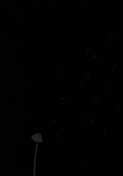 Page 96 of Yomi no Machi | 黃泉之街