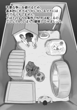 Page 8 of ［Ruutyan］