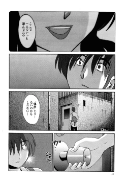 Page 45 of Monokage no Iris 1