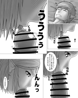 Page 16 of Zeruda no Densetsu: Purinsesu to Sugosu Yoru