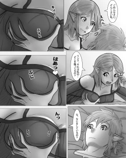 Page 25 of Zeruda no Densetsu: Purinsesu to Sugosu Yoru