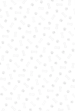 Page 3 of Kawaii Inu no Shitsukekata