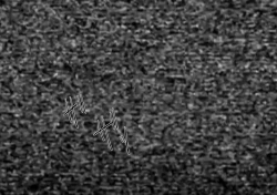 Page 22 of Otaku ga Atsumatte Scrap kara Sexaroid o Tsukuru Hanashi