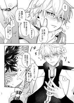 Page 9 of Tekihatsu kousoku ihou kaizou renketsu nawa