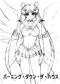 Page 2 of Burning Down the House