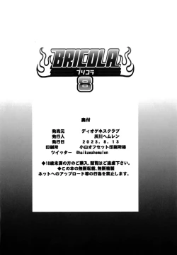 Page 24 of BRICOLA 8