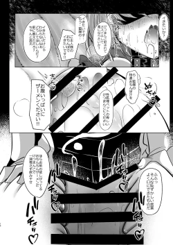 Page 14 of 八雲藍が性処理ペットと戯れる本