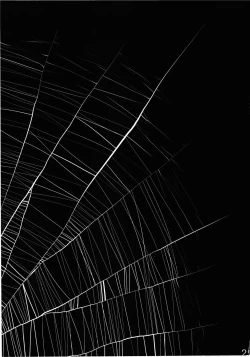 Page 29 of A Disease Woman's Story