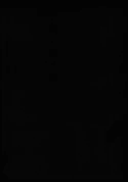 Page 4 of A Disease Woman's Story