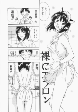 Page 196 of Maidroid Yukinojoh Vol.1