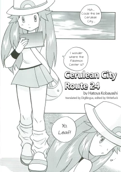 Page 2 of Cerulean City Route 24