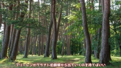 Page 180 of 異世界転生したら、アウラだっ