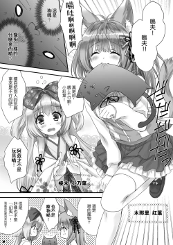 Page 11 of KEMOMIMI WONDERLAND